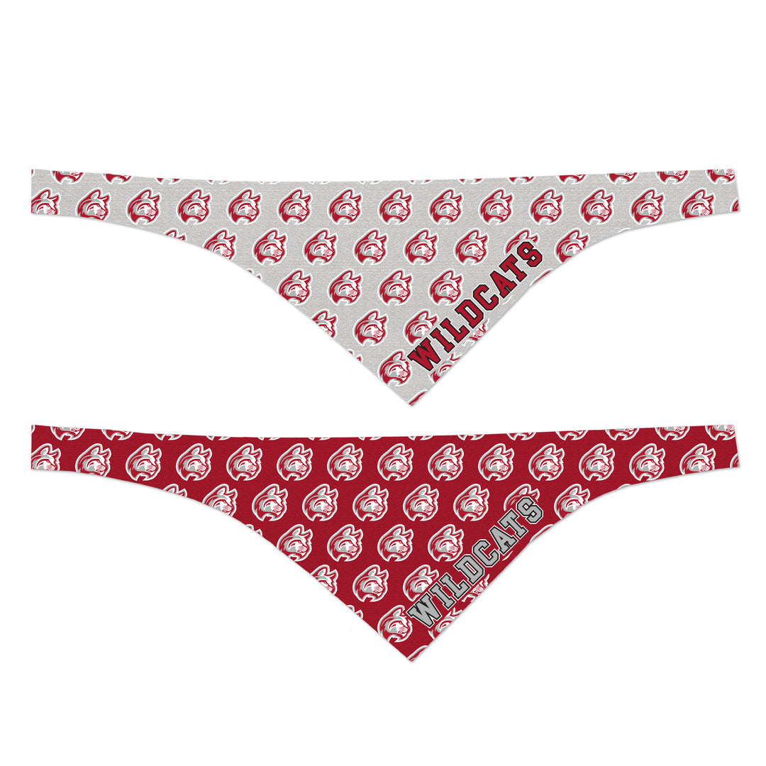 Game Day Large Reversible Pet Bandana