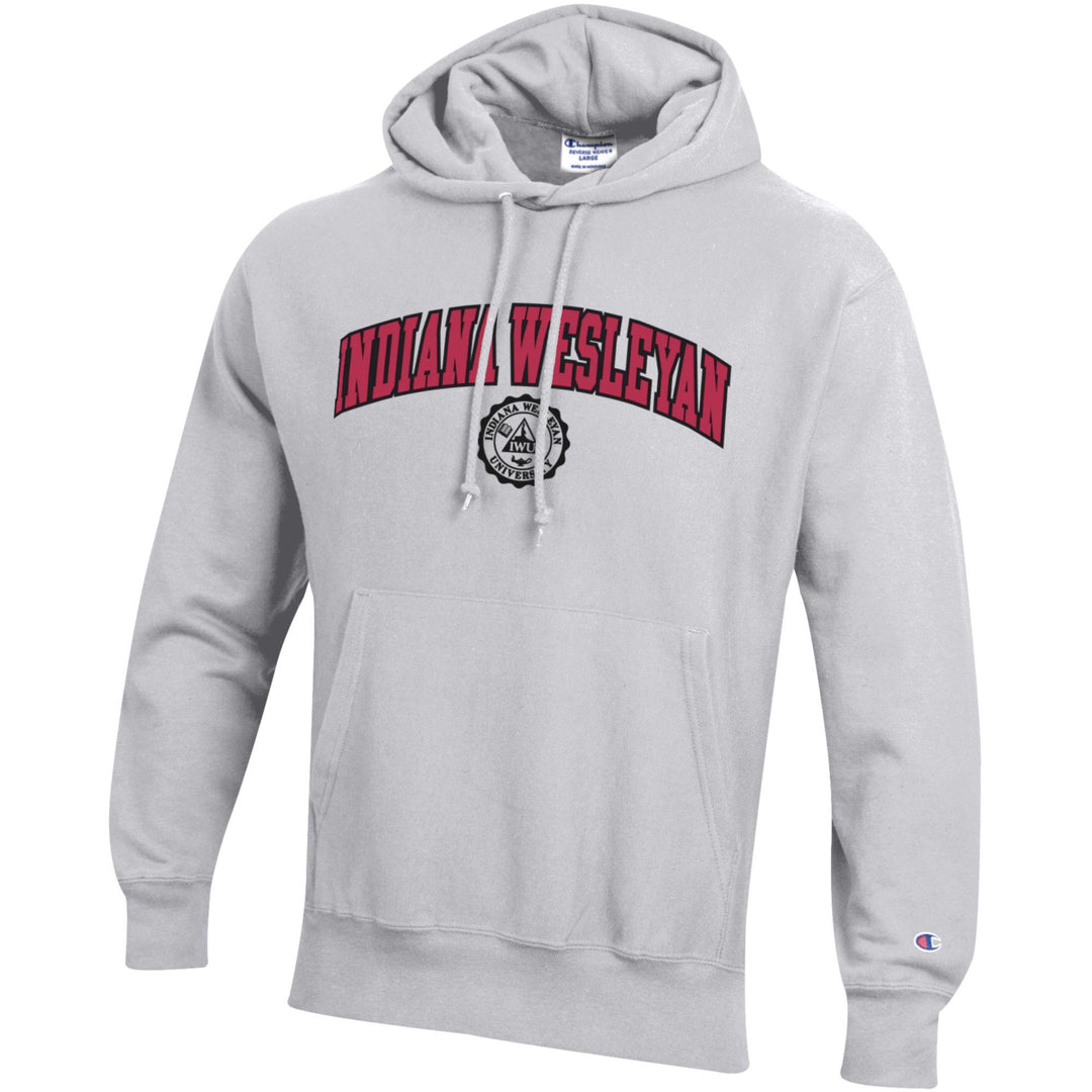 Reverse Weave Hood | Silver Grey