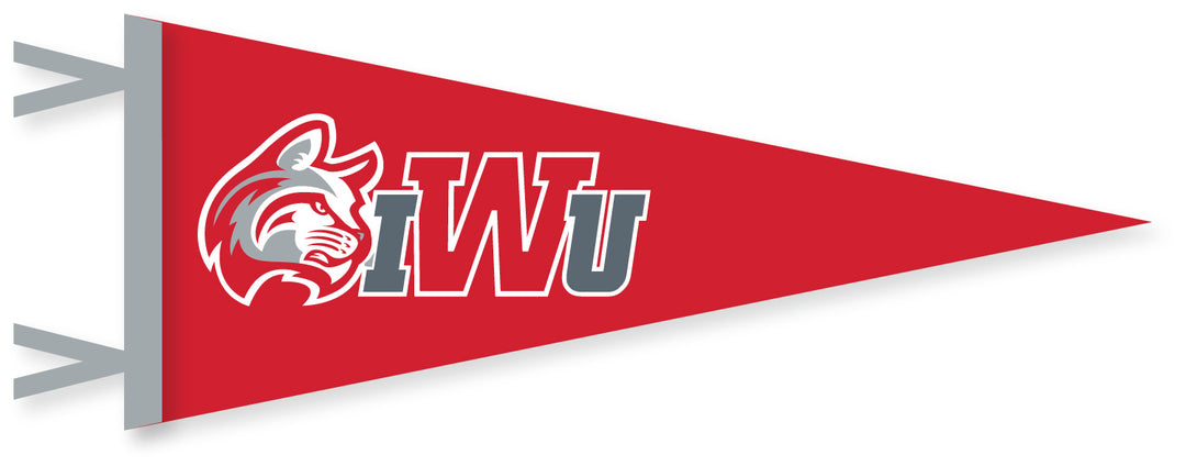 6x15 Pennant by Collegiate Pacific