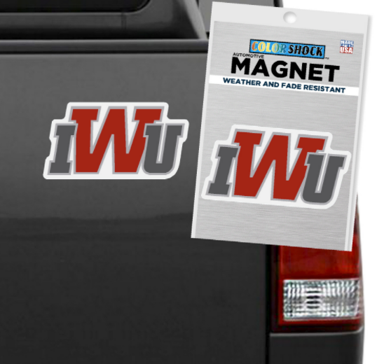 Automotive Magnet | Small