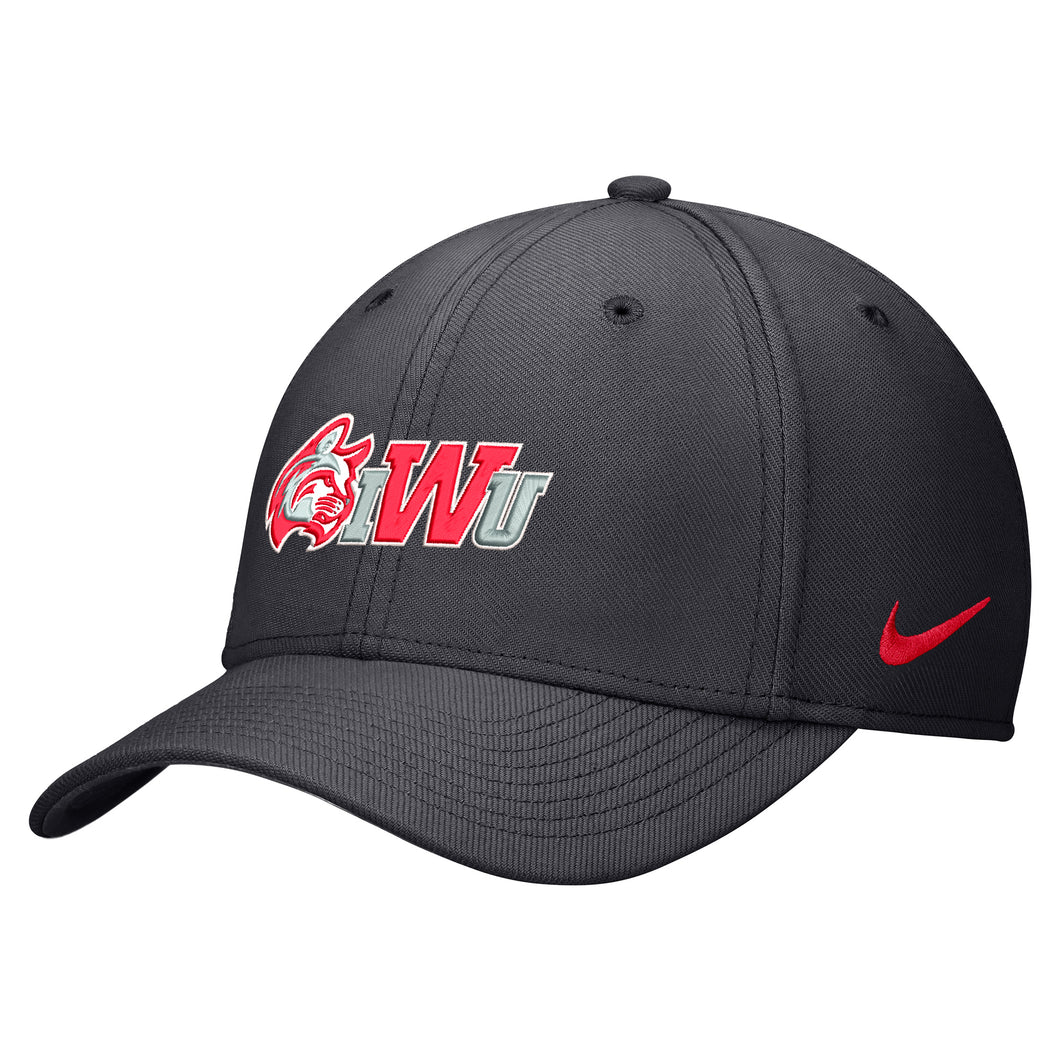 Nike Rise Swoosh Flex Cap, Anthracite (Core F24)