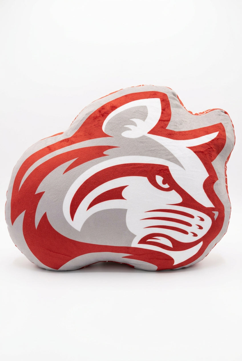 Custom Puff Pillow